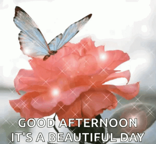 Beautiful Good Afternoon Sparkling Greeting GIF