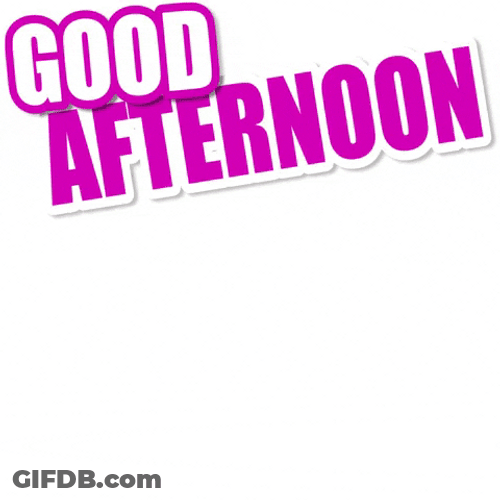 Beautiful Good Afternoon Yellow Bunny GIF