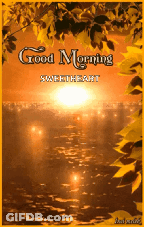 Beautiful Good Morning Golden Hour GIF