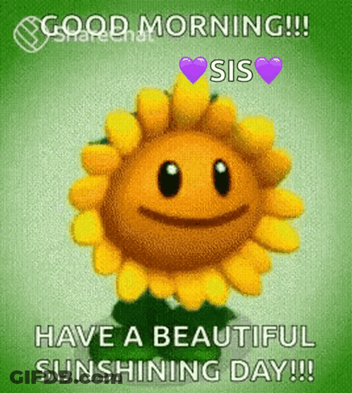 Beautiful Good Morning Happy Sunflower GIF