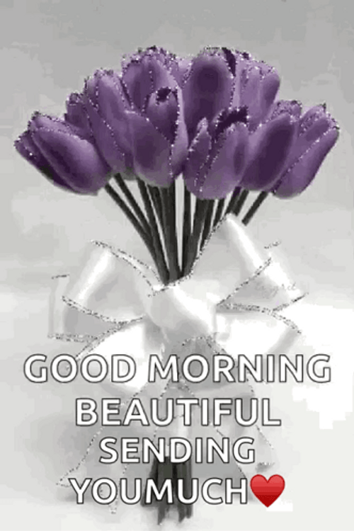 Beautiful Good Morning Sparkling Purple Flower GIF