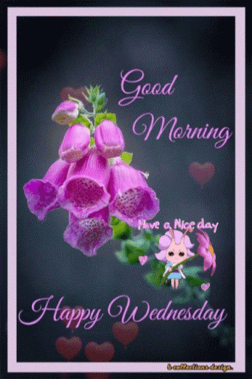 Beautiful Good Morning Wednesday Pink Bell Flower GIF