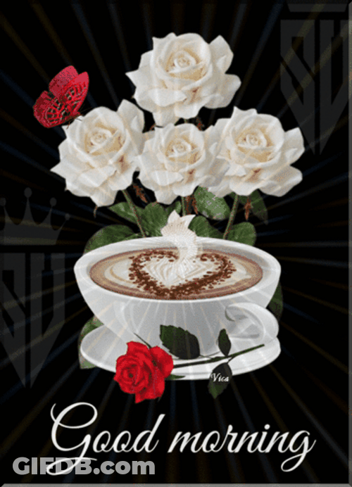 Beautiful Good Morning With White Rose GIF