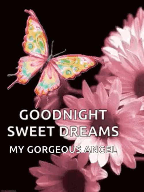 Beautiful Good Night Sweet Dreams My Gorgeous Angel GIF