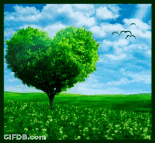 Beautiful Green Tree Heart Shape GIF