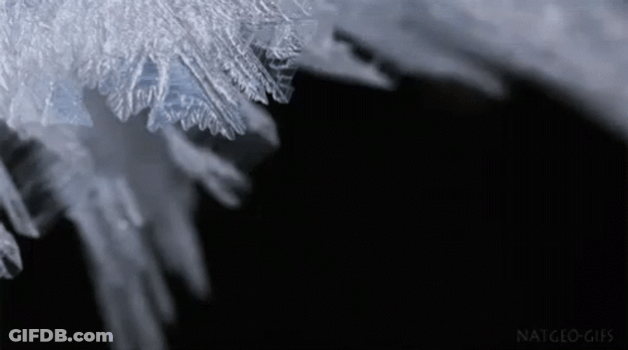 Beautiful Growing Snowflake GIF