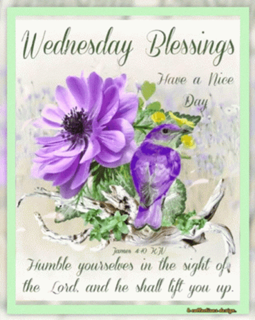 Beautiful Happy And Nice Wednesday GIF