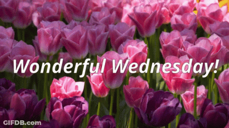 Beautiful Happy And Wonderful Wednesday GIF