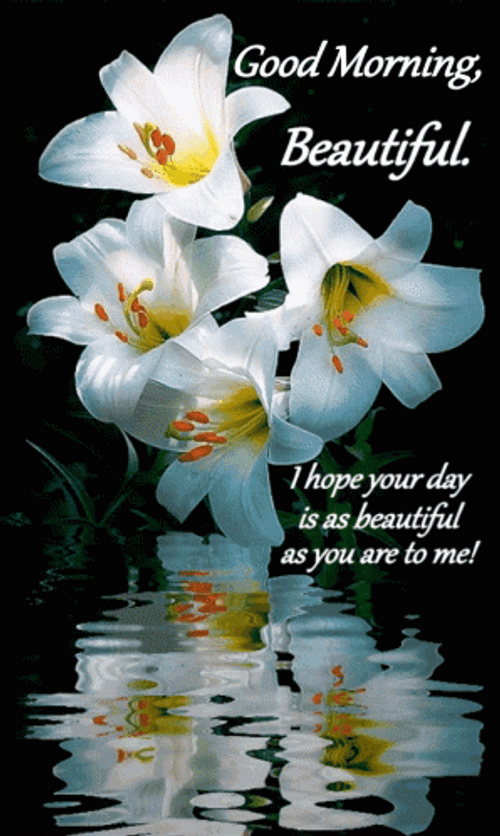Beautiful Happy Monday Good Morning Beautiful GIF