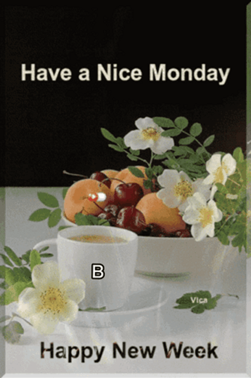 Beautiful Happy Monday New Week GIF