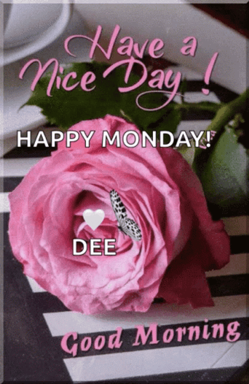 Beautiful Happy Monday Pink Rose GIF