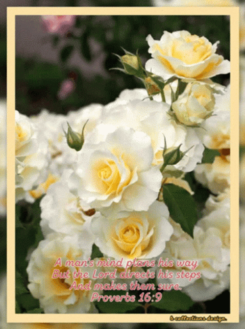 Beautiful Happy Monday Plan It's Way GIF