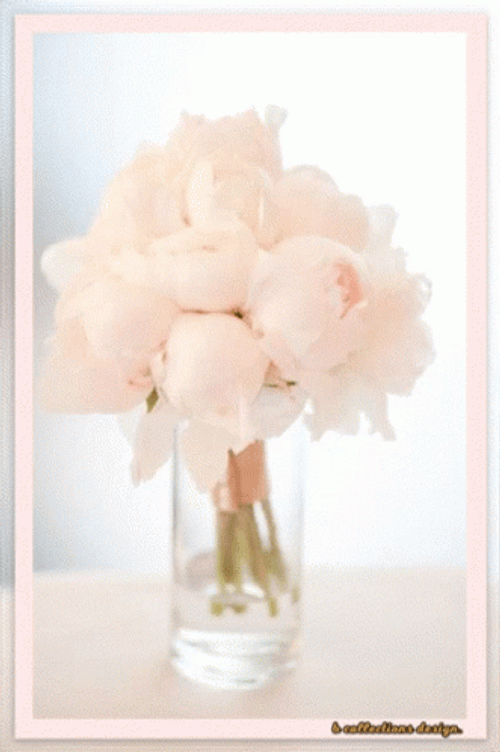 Beautiful Have A Lovely Happy Monday GIF