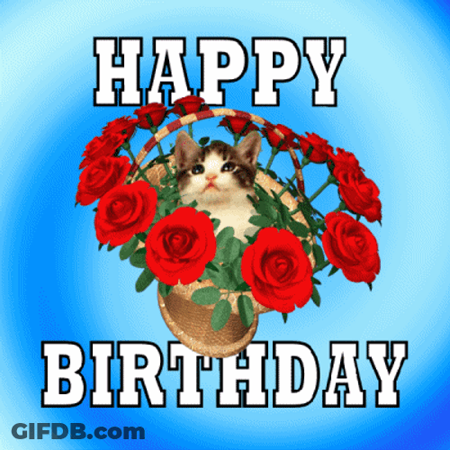 Beautiful Kitten Centerpiece Happy Birthday GIF