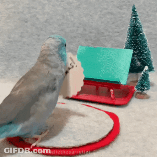 Beautiful Little Bird Merry Christmas GIF