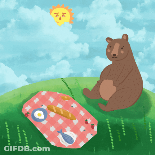 Beautiful Morning Bear Hi GIF