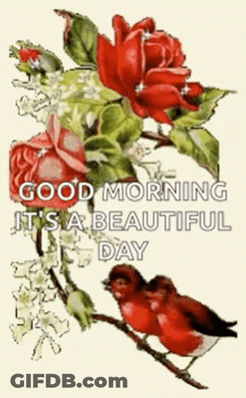 Beautiful Morning Butterfly Sparkles GIF