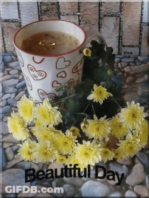 Beautiful Morning Daisy Coffee GIF