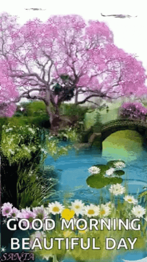 Beautiful Morning Nature Lake GIF