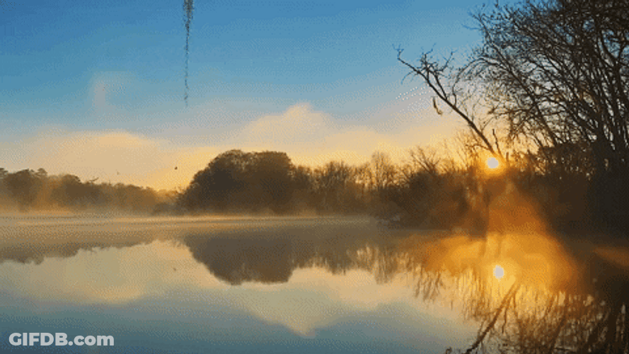 Beautiful Morning Nature Mist GIF