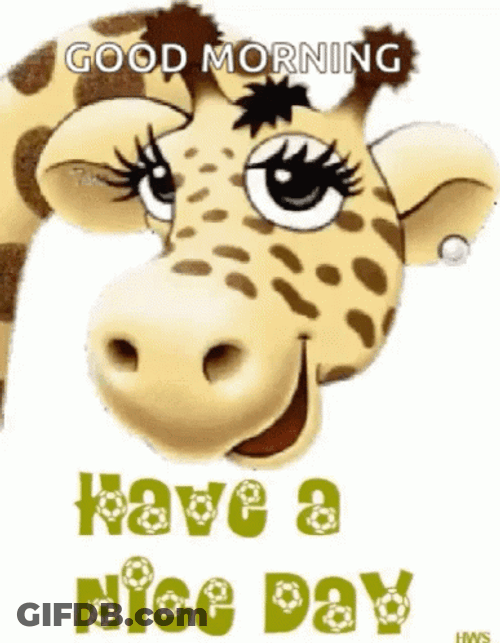 Beautiful Morning Nice Day Giraffe GIF