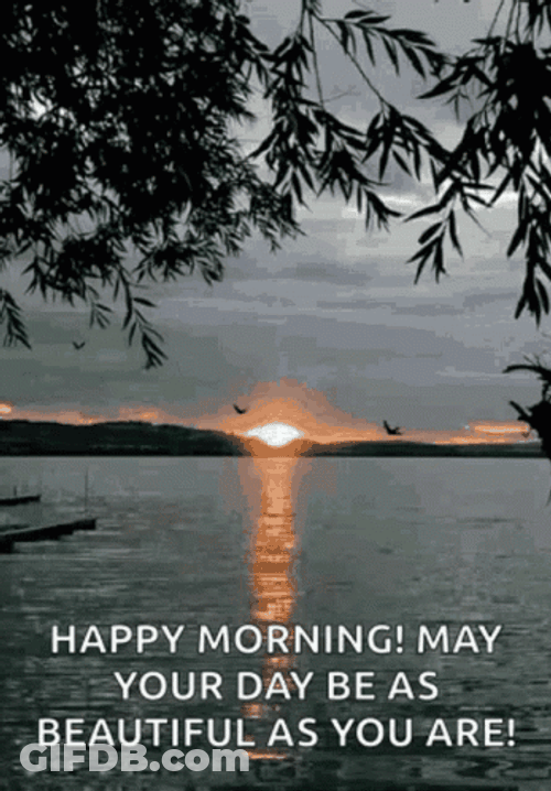 Beautiful Morning Sunrise GIF