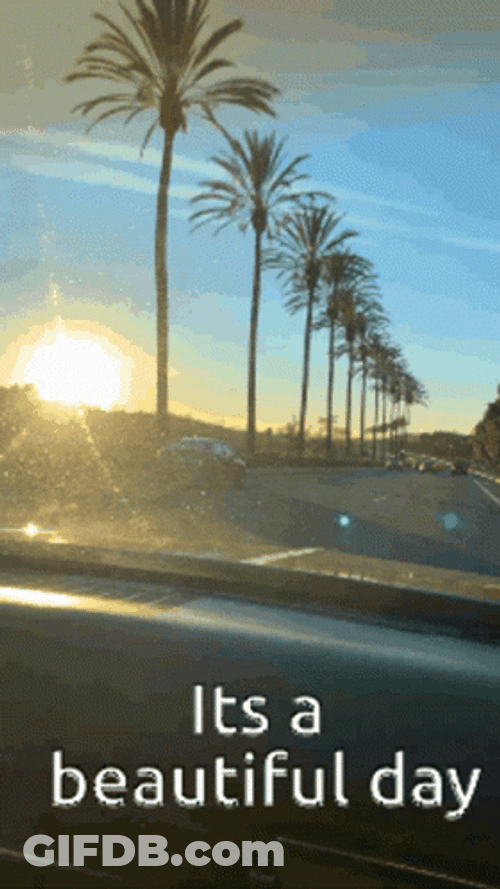 Beautiful Morning Sunrise Drive GIF
