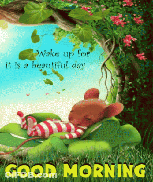 Beautiful Morning Wake Up GIF