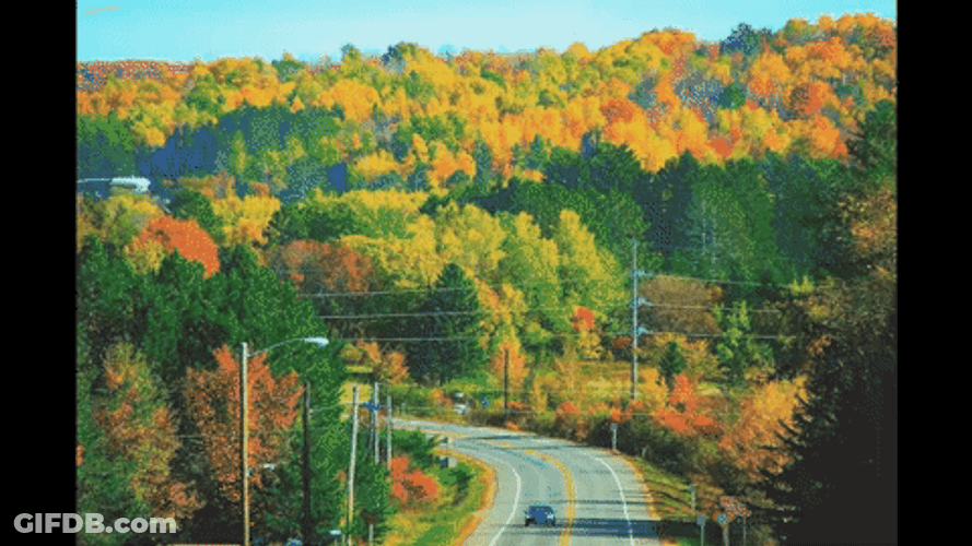Beautiful Nature Fall Glitch GIF