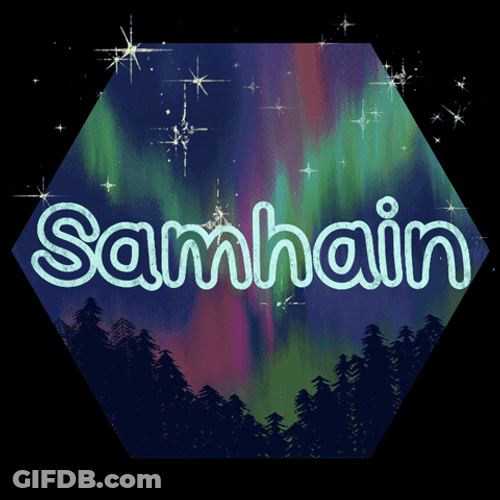 Beautiful Northern Lights Captured GIF