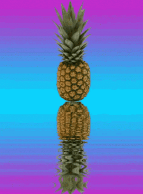 Beautiful Pineapple Retro Reflection GIF