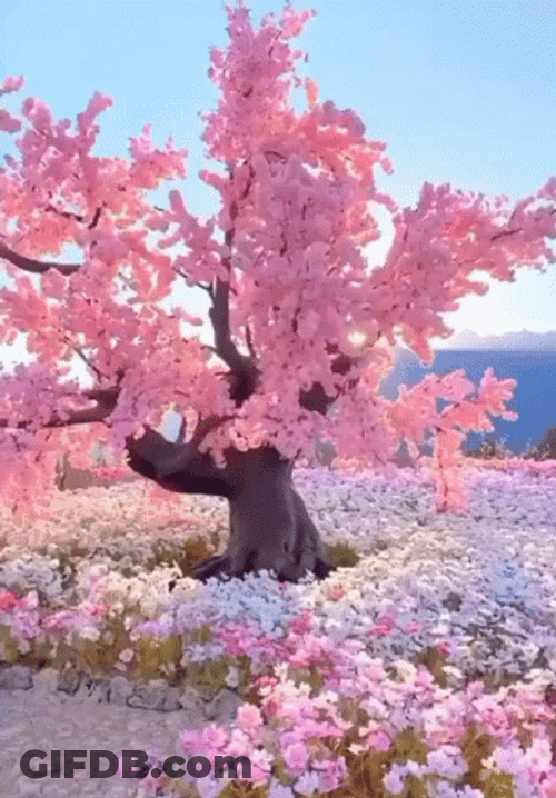 Beautiful Pink Environment Happy Wednesday GIF