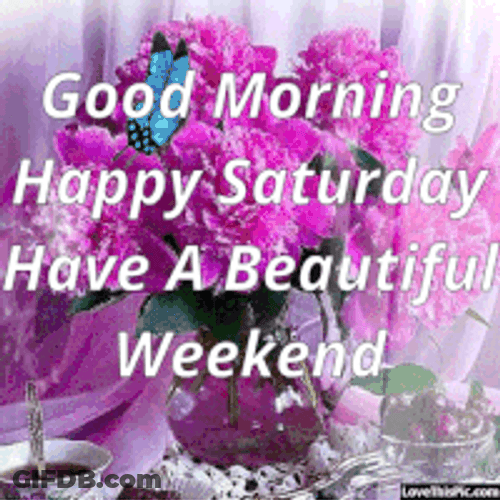 Beautiful Pink Flowers Saturday Morning GIF