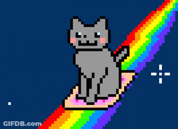 Beautiful Rainbow Carrying Cat GIF