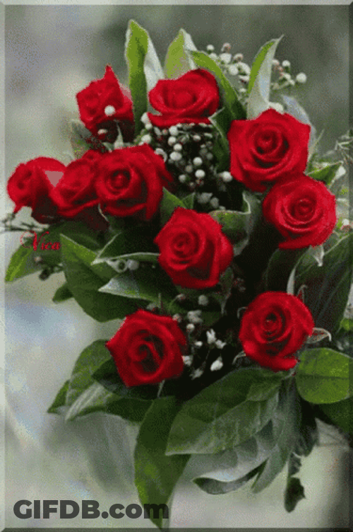 Beautiful Red Roses Bouquet GIF