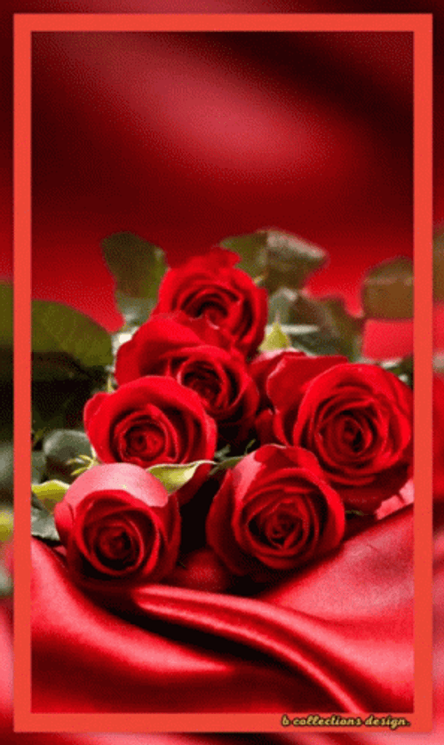 Beautiful Red Roses Moving Softly GIF