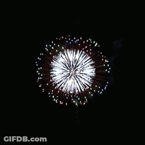 Beautiful Silver Firework GIF
