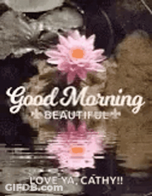 Beautiful Special Good Morning GIF