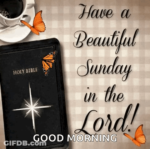 Beautiful Sunday With Bible And Butterflies GIF