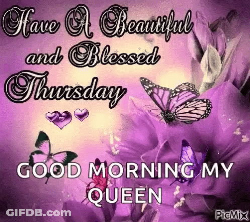 Beautiful Thursday Morning Queen With Butterflies GIF