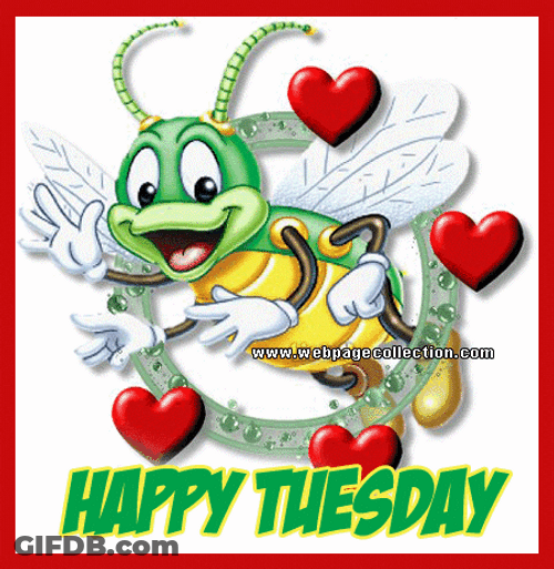 Beautiful Tuesday Animated Bug GIF