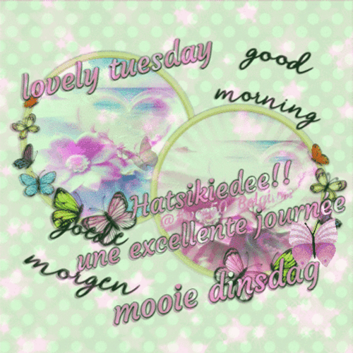 Beautiful Tuesday Flower Rings GIF