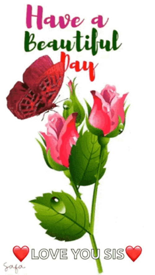 Beautiful Tuesday Love You Sis GIF