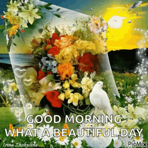 Beautiful Tuesday Yellow Flowers GIF