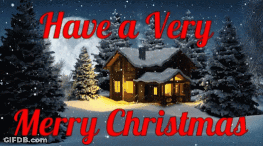 Beautiful Winter Night Merry Christmas GIF