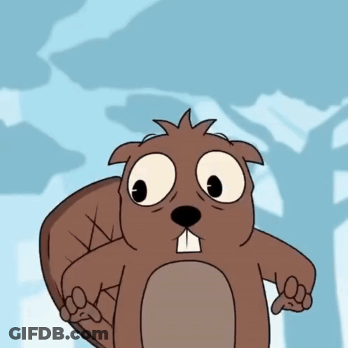 Beaver Giving Thumbs Down GIF