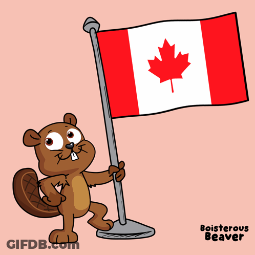Beaver Holding Canadian Flag GIF