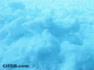 Beaver Laying In Snow With Head Sticking Out GIF