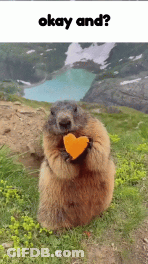 Beaver Munching On Heart Shaped Carrot GIF