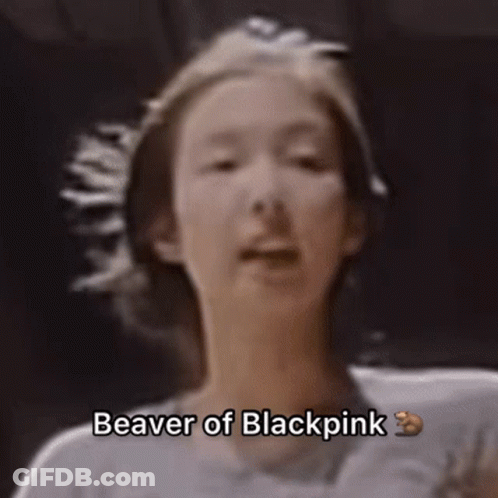 Beaver Of Blackpink GIF